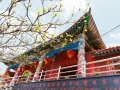 jinshan-temple-11
